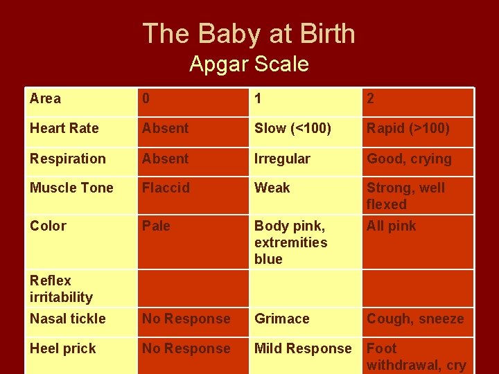 The Baby at Birth Apgar Scale Area 0 1 2 Heart Rate Absent Slow