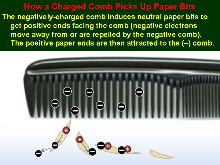 How a Charged Comb Picks Up Paper Bits The negatively-charged comb induces neutral paper