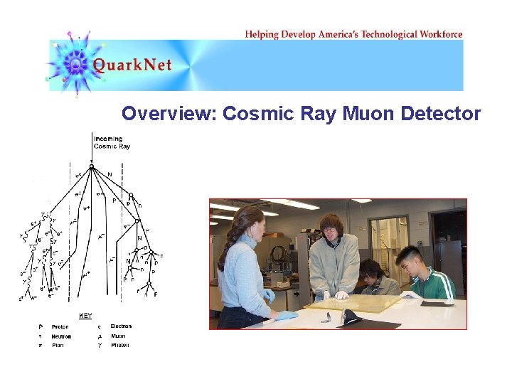 Overview: Cosmic Ray Muon Detector 