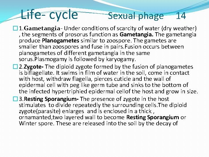 Life- cycle Sexual phage 14 � 1. Gametangia- Under conditions of scarcity of water