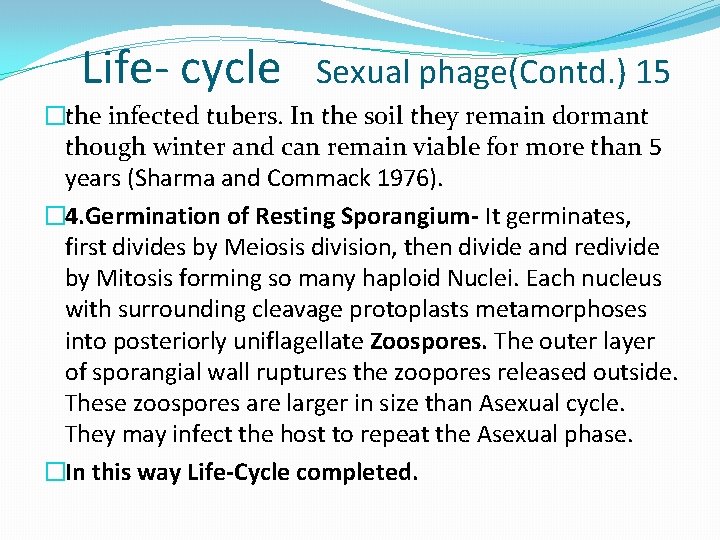 Life- cycle Sexual phage(Contd. ) 15 �the infected tubers. In the soil they remain