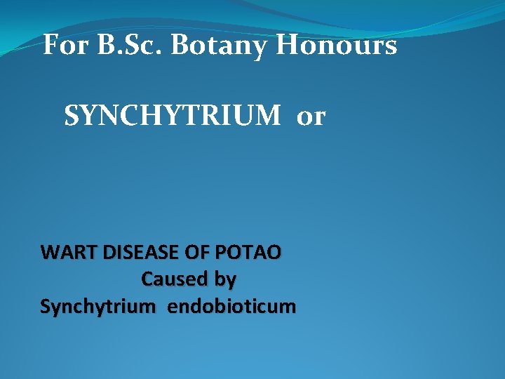 For B. Sc. Botany Honours SYNCHYTRIUM or WART DISEASE OF POTAO Caused by Synchytrium