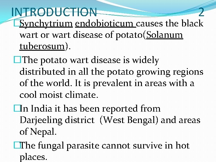 INTRODUCTION 2 �Synchytrium endobioticum causes the black wart or wart disease of potato(Solanum tuberosum).