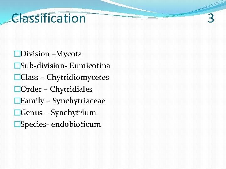 Classification �Division –Mycota �Sub-division- Eumicotina �Class – Chytridiomycetes �Order – Chytridiales �Family – Synchytriaceae