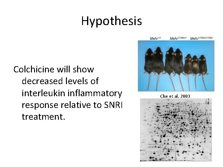 Hypothesis Colchicine will show decreased levels of interleukin inflammatory response relative to SNRI treatment.
