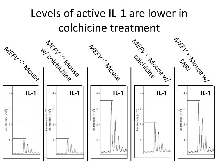 Levels of active IL-1 are lower in colchicine treatment V w/ se ou -/-
