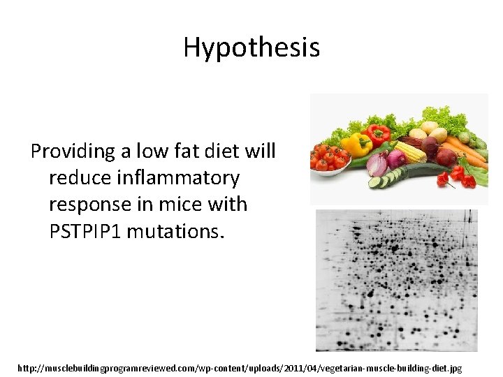 Hypothesis Providing a low fat diet will reduce inflammatory response in mice with PSTPIP