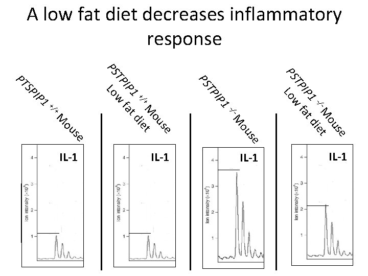 A low fat diet decreases inflammatory response MEFV se ou IL-1 M IL-1 -/-