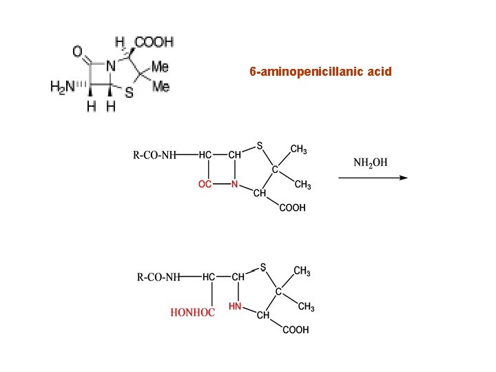 6 -aminopenicillanic acid 