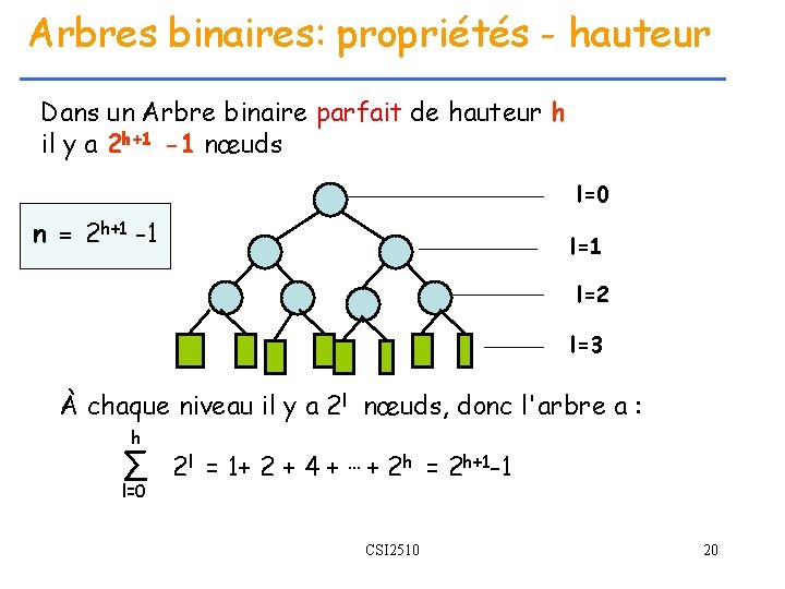Arbres binaires: propriétés - hauteur Dans un Arbre binaire parfait de hauteur h il