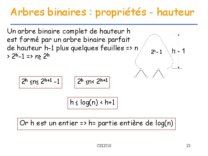 Arbres binaires : propriétés - hauteur Un arbre binaire complet de hauteur h est
