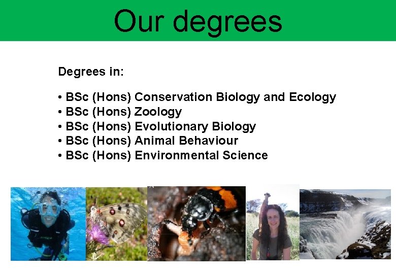 Our degrees Degrees in: • BSc (Hons) Conservation Biology and Ecology • BSc (Hons)