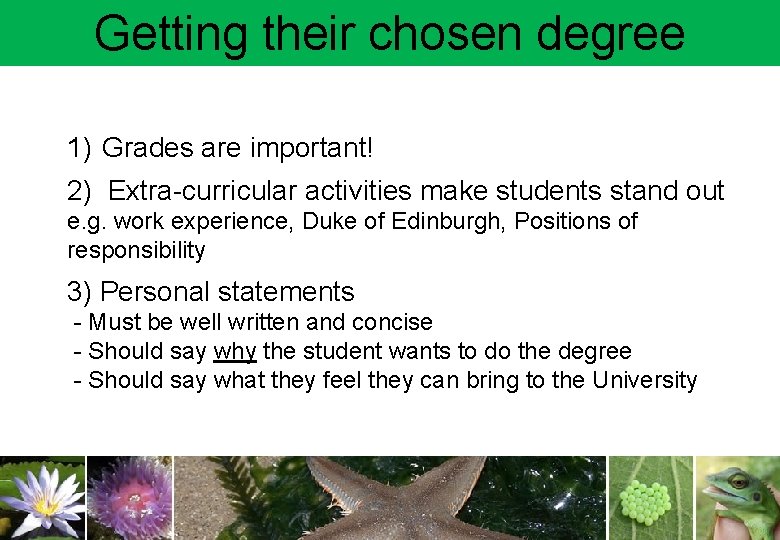 Getting their chosen degree 1) Grades are important! 2) Extra-curricular activities make students stand
