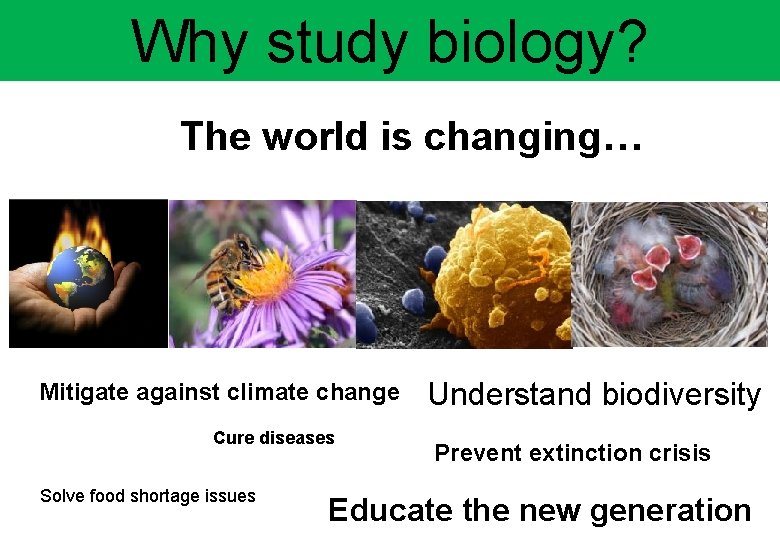 Why study biology? The world is changing… Mitigate against climate change Cure diseases Solve