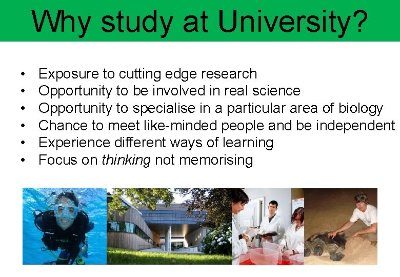 Why study at University? • • • Exposure to cutting edge research Opportunity to