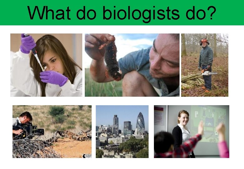 What do biologists do? 