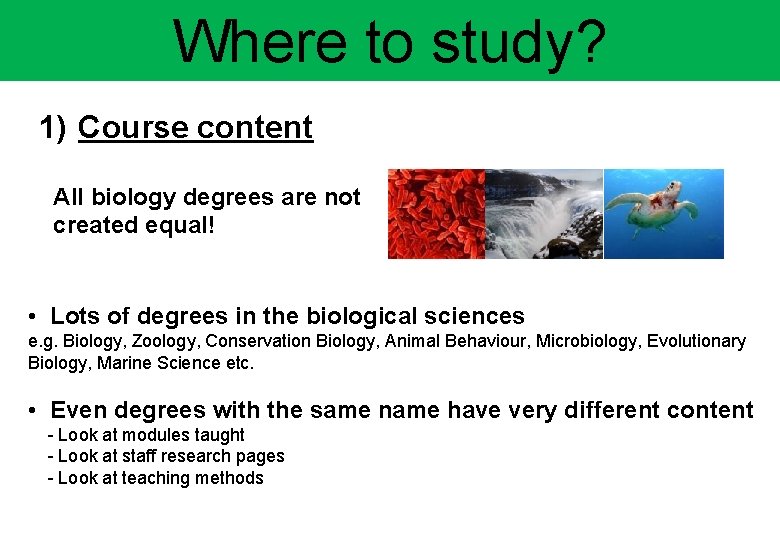 Where to study? 1) Course content All biology degrees are not created equal! •