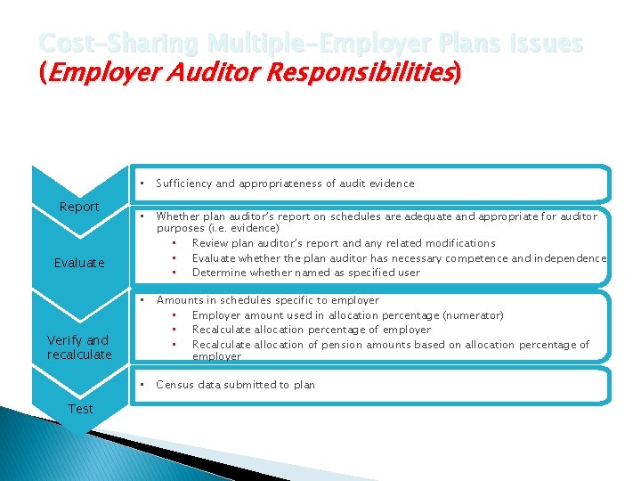 Cost-Sharing Multiple-Employer Plans Issues (Employer Auditor Responsibilities) Report • Sufficiency and appropriateness of audit