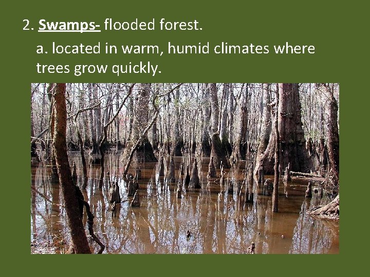 2. Swamps- flooded forest. a. located in warm, humid climates where trees grow quickly.