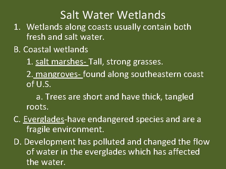 Salt Water Wetlands 1. Wetlands along coasts usually contain both fresh and salt water.