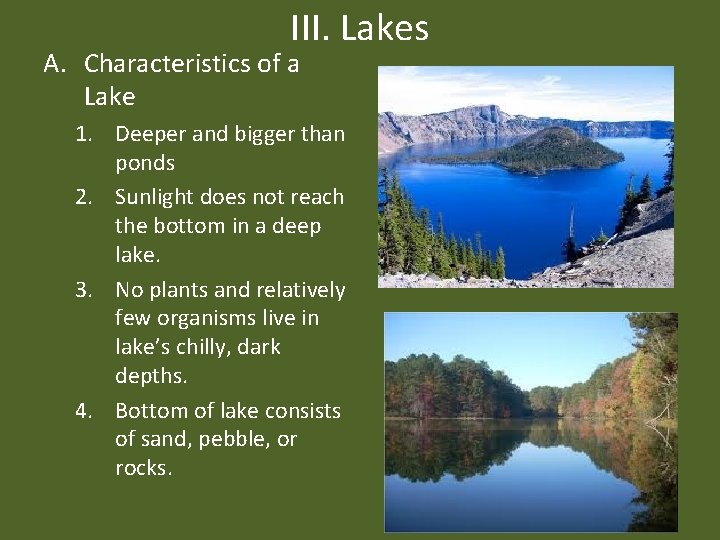 III. Lakes A. Characteristics of a Lake 1. Deeper and bigger than ponds 2.