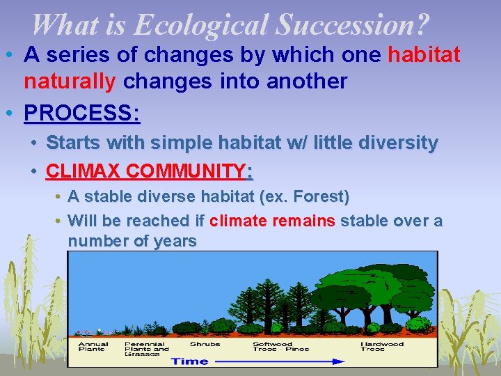 What is Ecological Succession? • A series of changes by which one habitat naturally