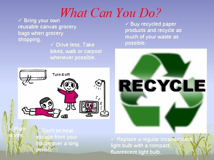 What Can You Do? ü Bring your own reusable canvas grocery bags when grocery