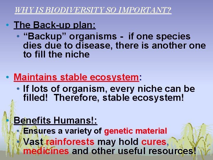 WHY IS BIODIVERSITY SO IMPORTANT? • The Back-up plan: • “Backup” organisms - if