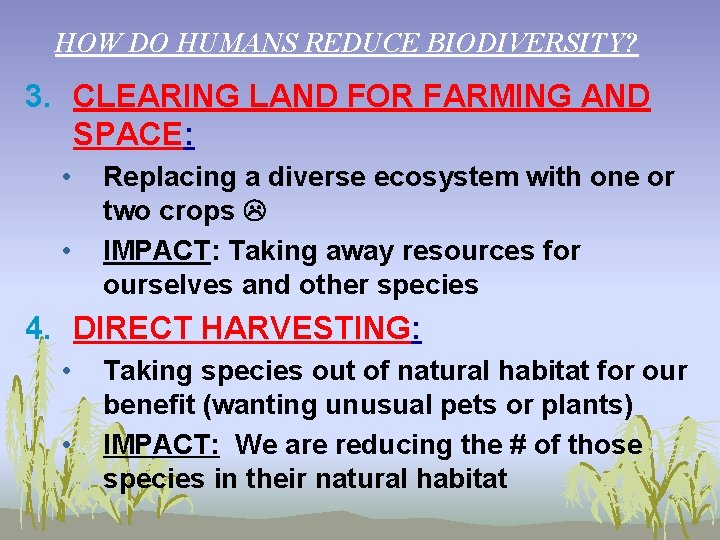 HOW DO HUMANS REDUCE BIODIVERSITY? 3. CLEARING LAND FOR FARMING AND SPACE: • •