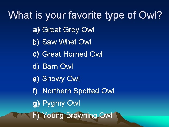 What is your favorite type of Owl? a) Great Grey Owl b) Saw Whet