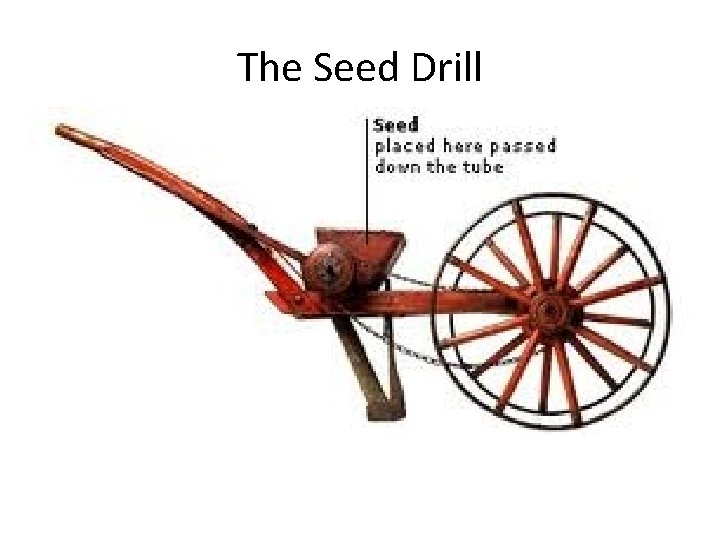 The Seed Drill 