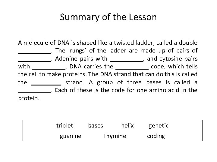 Summary of the Lesson A molecule of DNA is shaped like a twisted ladder,