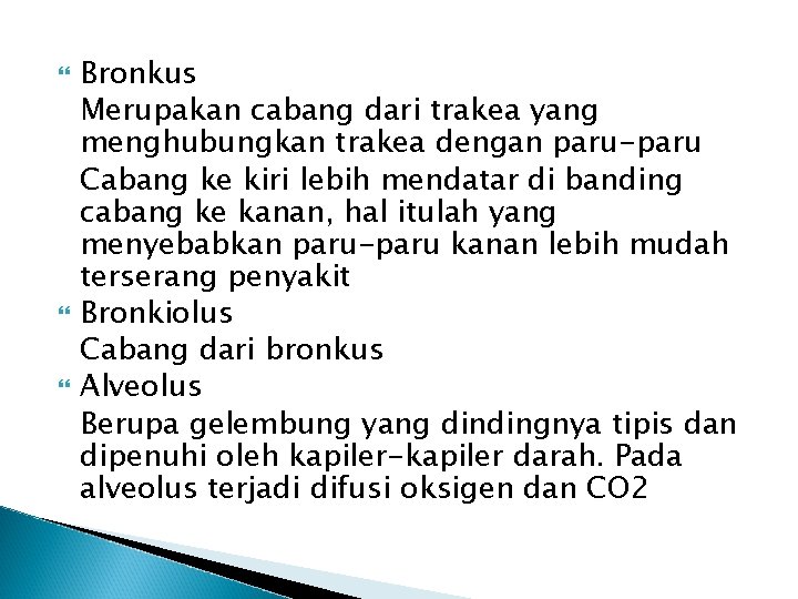  Bronkus Merupakan cabang dari trakea yang menghubungkan trakea dengan paru-paru Cabang ke kiri