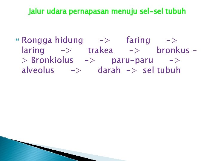 Jalur udara pernapasan menuju sel-sel tubuh Rongga hidung -> faring -> laring -> trakea