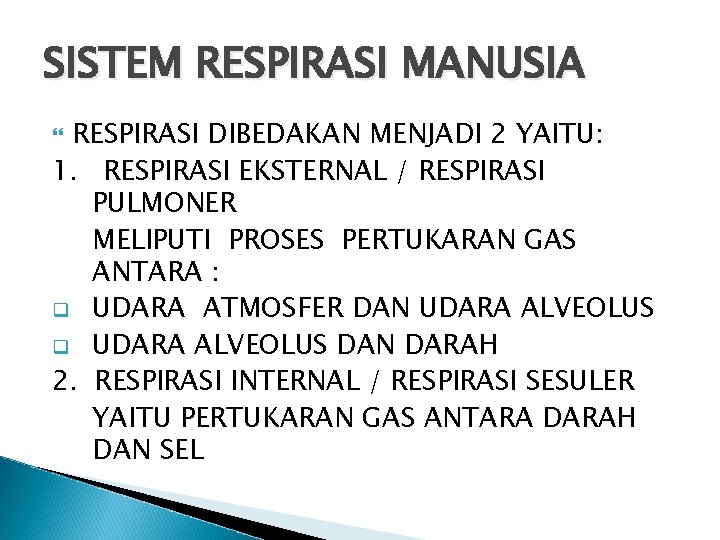 SISTEM RESPIRASI MANUSIA RESPIRASI DIBEDAKAN MENJADI 2 YAITU: 1. RESPIRASI EKSTERNAL / RESPIRASI PULMONER