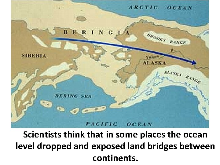 Scientists think that in some places the ocean level dropped and exposed land bridges
