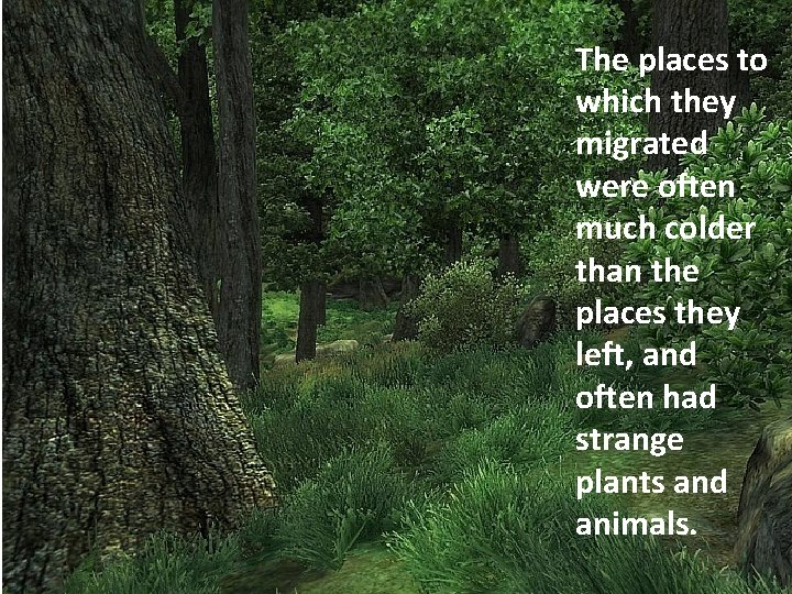 The places to which they migrated were often much colder than the places they