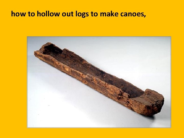how to hollow out logs to make canoes, 