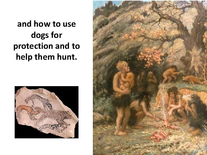 and how to use dogs for protection and to help them hunt. 