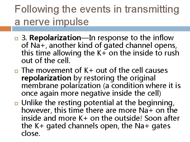 Following the events in transmitting a nerve impulse 3. Repolarization—In response to the inflow