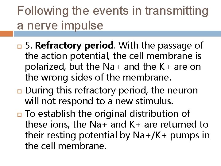 Following the events in transmitting a nerve impulse 5. Refractory period. With the passage