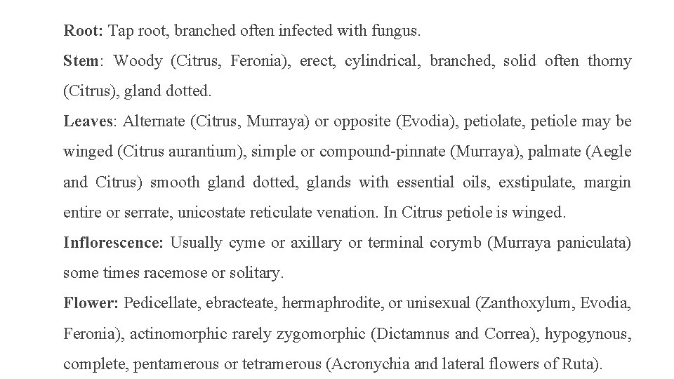 Root: Tap root, branched often infected with fungus. Stem: Woody (Citrus, Feronia), erect, cylindrical,