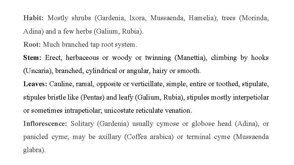 Habit: Mostly shrubs (Gardenia, Ixora, Mussaenda, Hamelia); trees (Morinda, Adina) and a few herbs