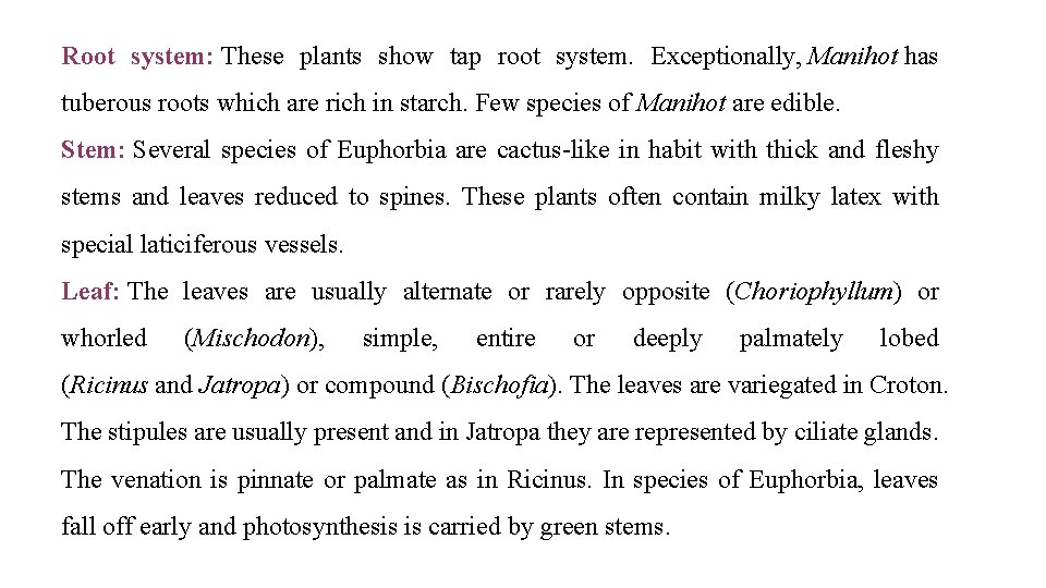 Root system: These plants show tap root system. Exceptionally, Manihot has tuberous roots which