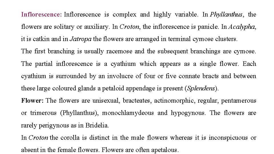 Inflorescence: Inflorescence is complex and highly variable. In Phyllanthus, the flowers are solitary or