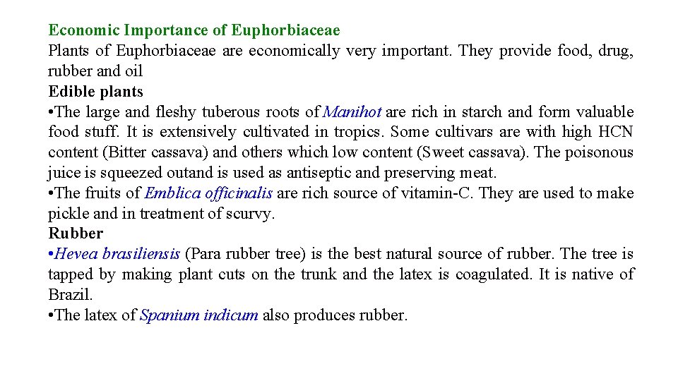 Economic Importance of Euphorbiaceae Plants of Euphorbiaceae are economically very important. They provide food,