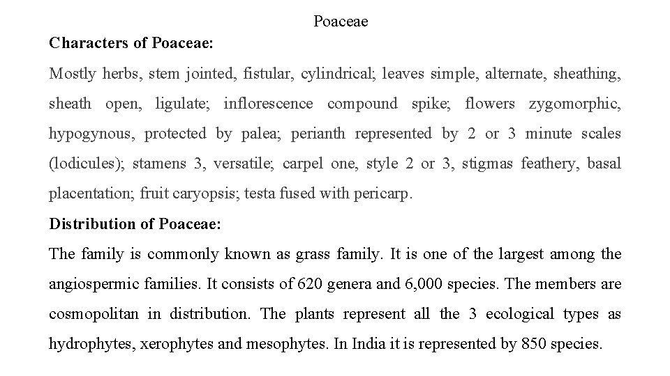 Poaceae Characters of Poaceae: Mostly herbs, stem jointed, fistular, cylindrical; leaves simple, alternate, sheathing,