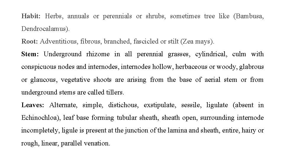 Habit: Herbs, annuals or perennials or shrubs, sometimes tree like (Bambusa, Dendrocalamus). Root: Adventitious,