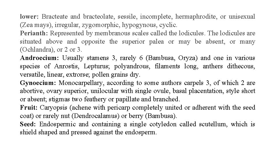 lower: Bracteate and bracteolate, sessile, incomplete, hermaphrodite, or unisexual (Zea mays), irregular, zygomorphic, hypogynous,