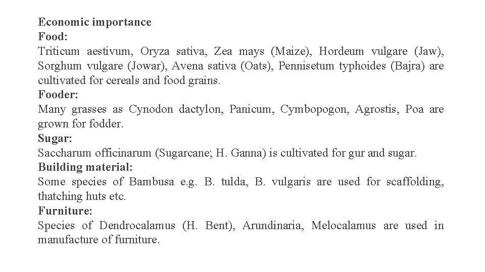 Economic importance Food: Triticum aestivum, Oryza sativa, Zea mays (Maize), Hordeum vulgare (Jaw), Sorghum